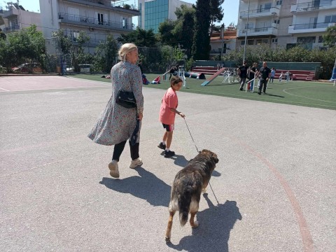 ΟΙ ΤΕΤΡΑΠΟΔΟΙ ΣΕ ΒΟΗΘΟΥΝ!