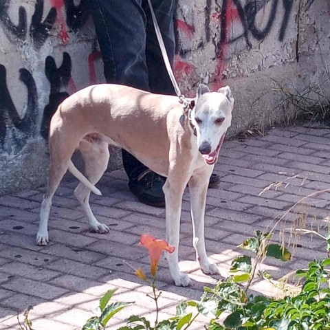 Ιστορικές Διαδρομές στη Δραπετσώνα