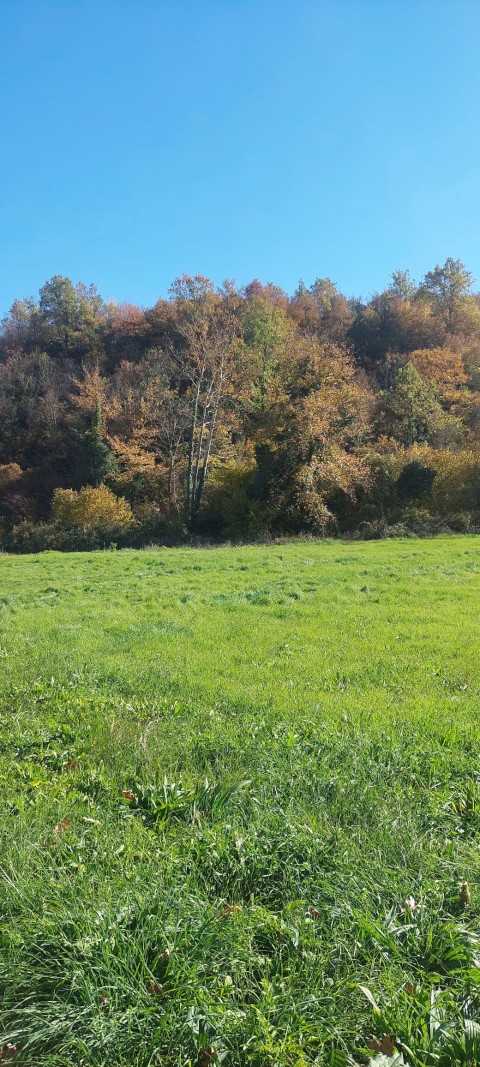 Τριήμερη εκδρομή Ιωάννινα, Μέτσοβο, Ζαγοροχώρια, Καλπάκι!