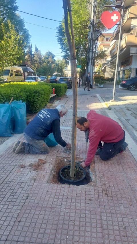 ΜΕΟ με… όραμα για το περιβάλλον!