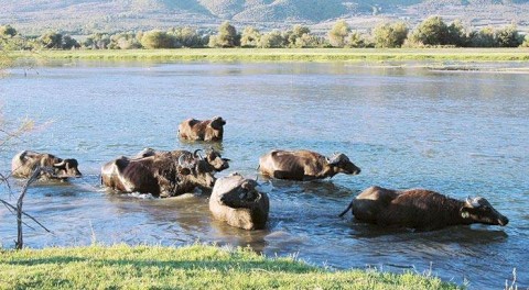 Η ΦΘΙΝΟΠΩΡΙΝΗ ΜΑΣ ΕΚΔΡΟΜΗ - ΘΕΣΣΑΛΟΝΙΚΗ