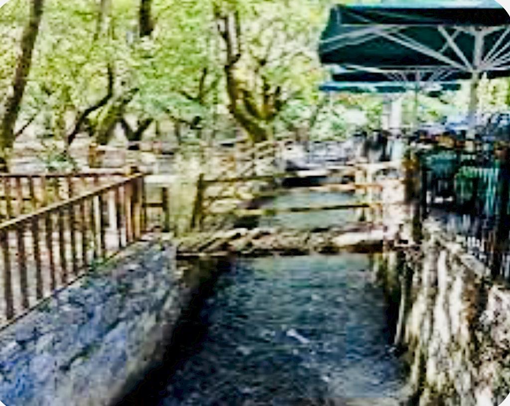 Σπήλαια Λιμνών – Πλανητέρο – Βυτίνα